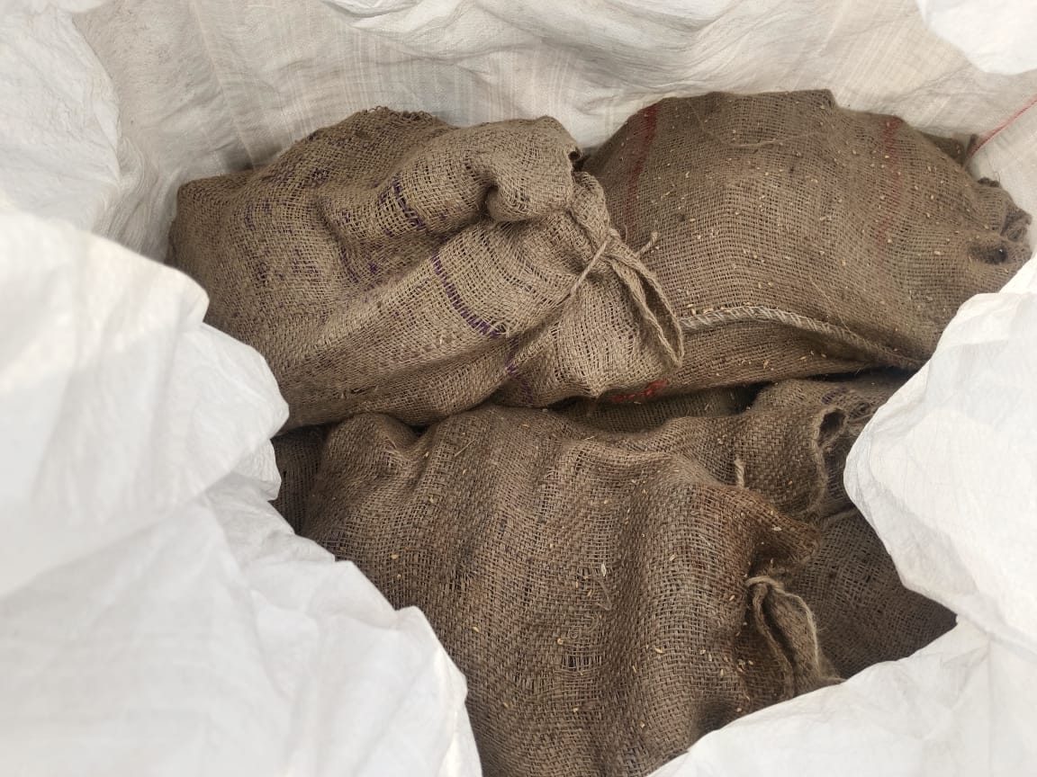 50 kg gunny bags packed inside a 1 MT jumbo bag